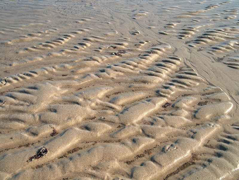 Professional Development